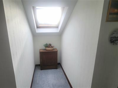 Picture 24